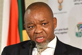 South Africa would not succumb to US pressures