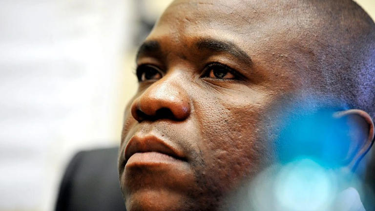 IPID's investigation into General Nhlanhla Mkhwanazi: A smear campaign or genuine inquiry?