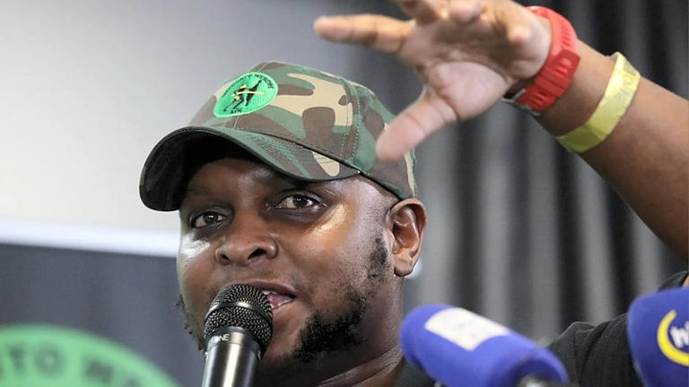 Floyd Shivambu's rise and fall: from the ANC Youth League to the MK Party 