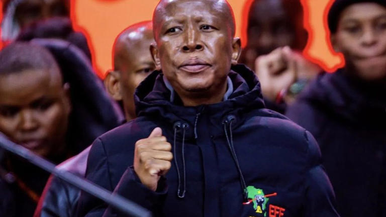 Following allegations of SAPS corruption, Malema tells Mkhwanazi, \